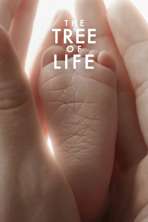 Affiche de The Tree of Life