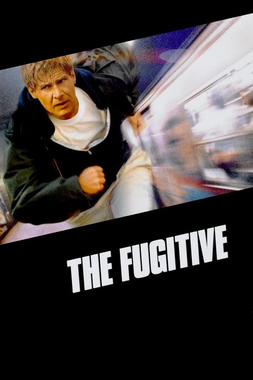 Affiche de Le Fugitif