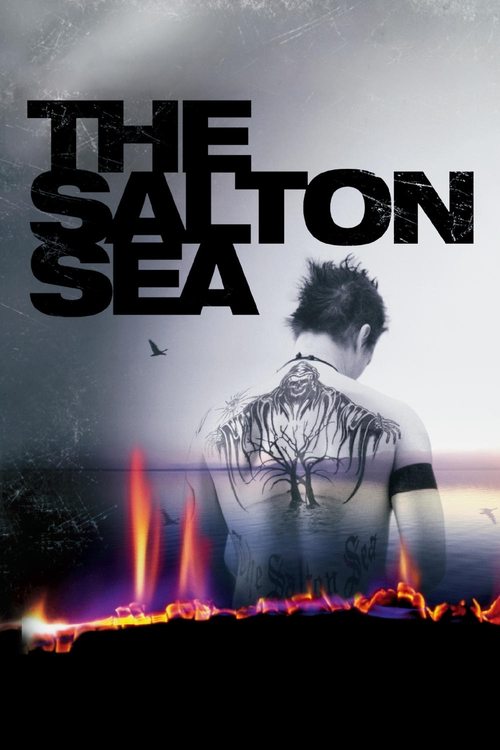 Affiche de Salton Sea