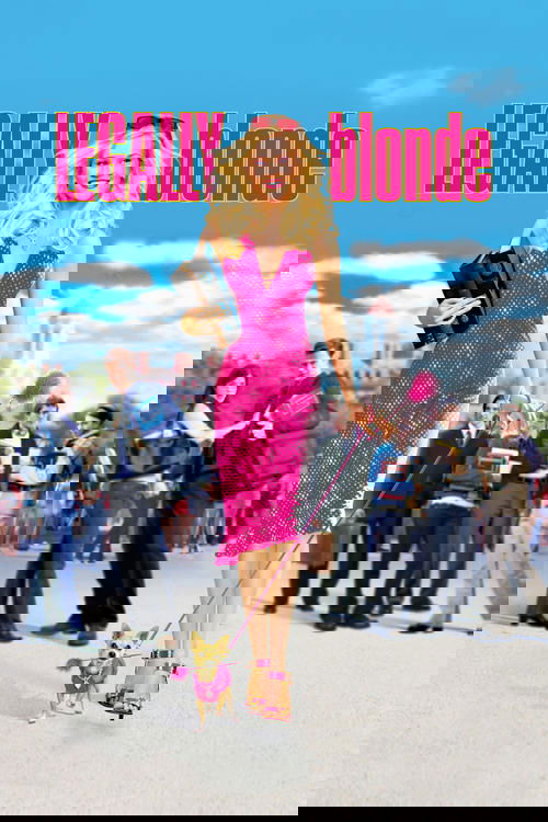 Affiche de La Revanche d'une blonde