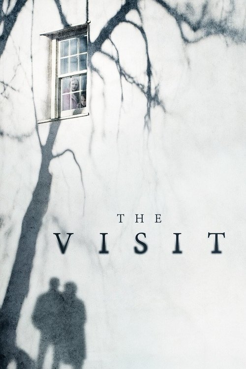 Affiche de The Visit