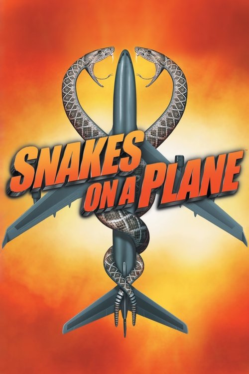 Affiche de Des serpents dans l'avion