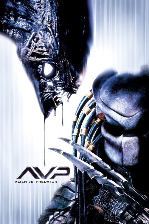 Affiche de AVP: Alien vs. Predator