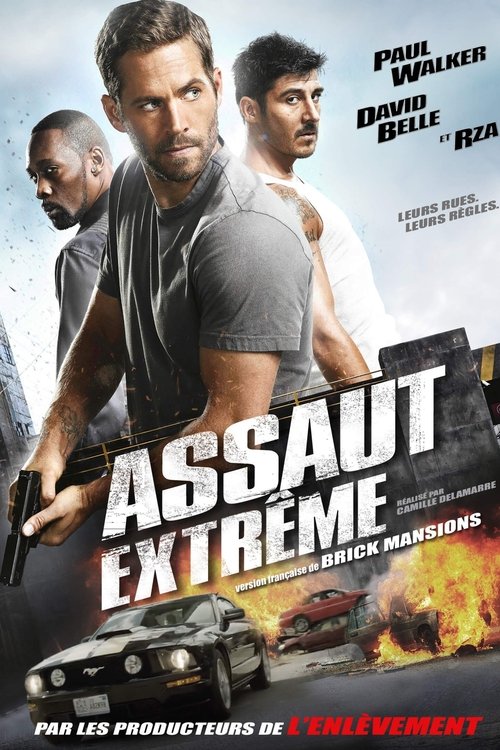 Affiche de Brick Mansions