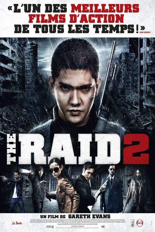 Affiche de The Raid