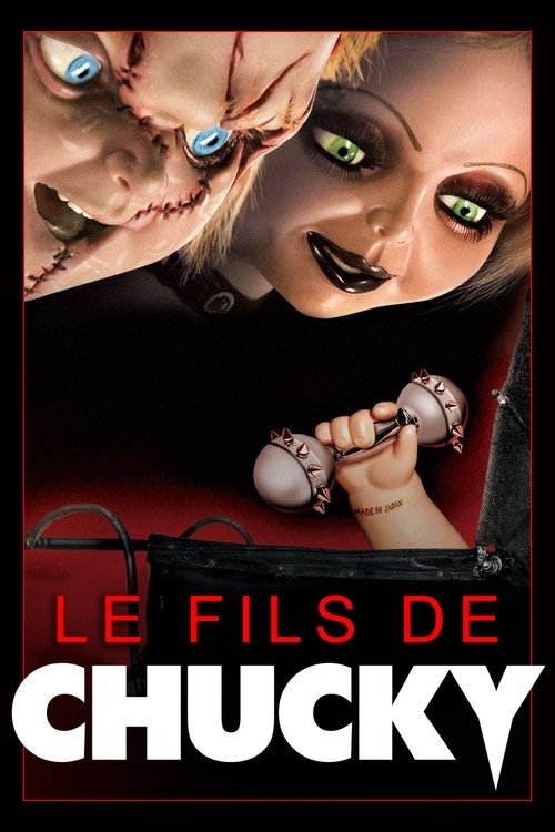 Affiche de Le Fils de Chucky